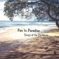 Pan in Paradise by Dano's Island Sounds